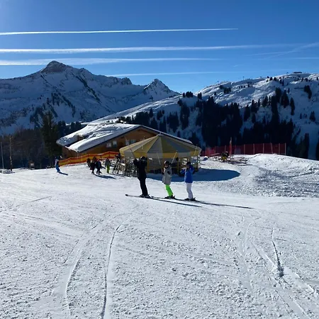 Haus Im Zentrum Mit Garten Сasa de vacaciones Bregenz